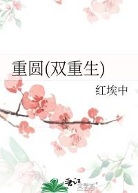 双重生宠文甜文