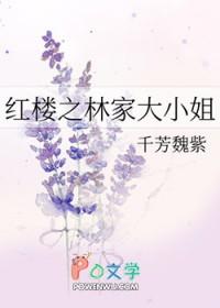 红楼之林家大少
