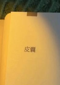 皮囊出轨h未删减版