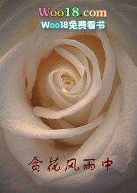 贪花风雨中阅读