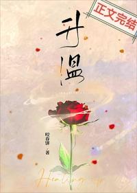 升温仪