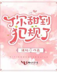 你甜到犯规了温轻txt