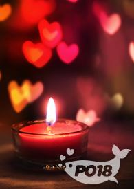 道侣太多怎么办 gl np
