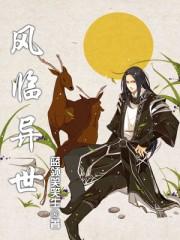 风临异世2