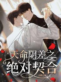 天命阴差之绝对契合什么意思