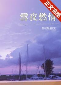 雪夜燃情全文免费阅读