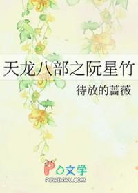 天龙八部之阮星竹txt