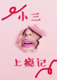 小三上瘾记免费阅读
