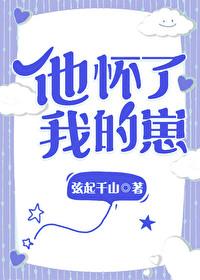 他怀了我的孩子晋江