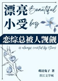 小受长得太漂亮了