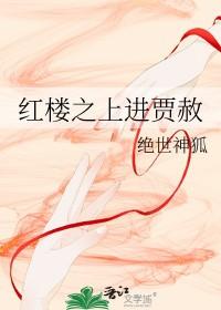 红楼之上进贾赦绝世神狐