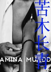 苦木有什么作用