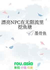 漂亮npc在惊悚无限流里