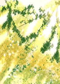 阴暗普女但第三者欺花