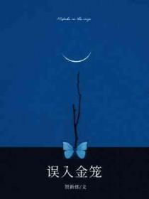 误入金笼by贺新郎好看吗