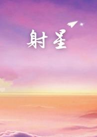 上海射星国际贸易有限公司