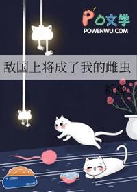 敌国将军
