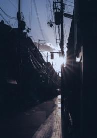 你是我的曙光 作者余袅袅