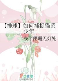 排球少年拦网怪物