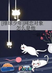 排球少年恋爱