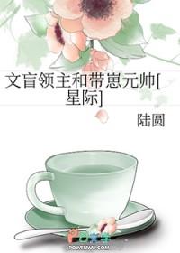 文盲是什么