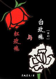 男人心中的白玫瑰和红玫瑰