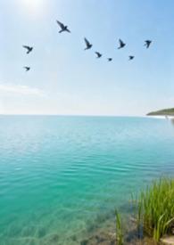 归去来兮gl全文免费阅读