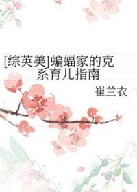 综英美蝙蝠家的小蝙蝠镖