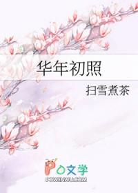 年华初照txt