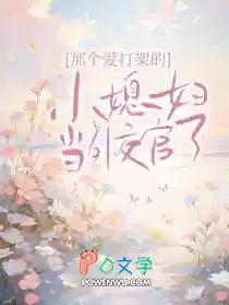 那个爱打架的小媳妇当外交官了平淡生活