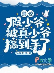 假少爷和真少爷he了