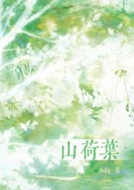 山荷叶精灵王繁音进化