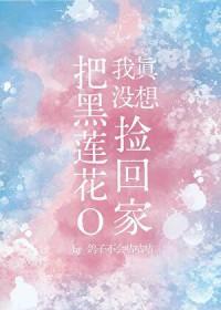 我真没想把黑莲花o捡回家TXT文档