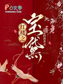 红楼宝黛同人文