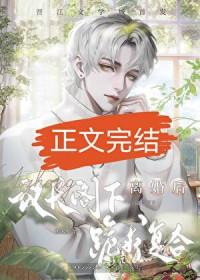 和联邦议长结婚后怎么办