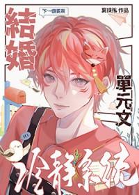 结婚冷静系统txt