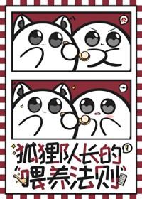 排球少年各队队长