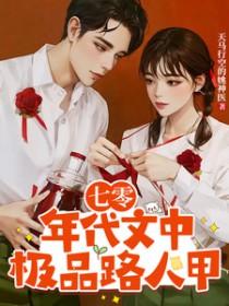 七零年代极品厂花txt