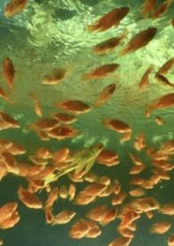 非正常关系的男女是什么关系