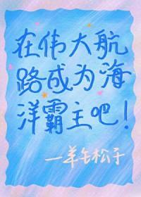 在伟大航路当英雄