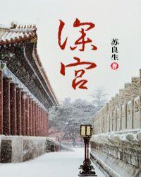 耽美深宫计
