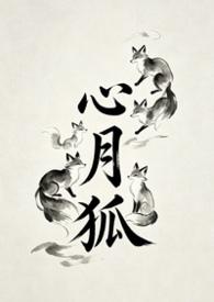 心月狐电视剧