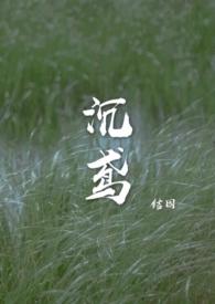 沉鸢 作者结因笔趣阁免费阅读完整版