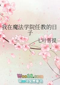 我在魔法学院任教的日子